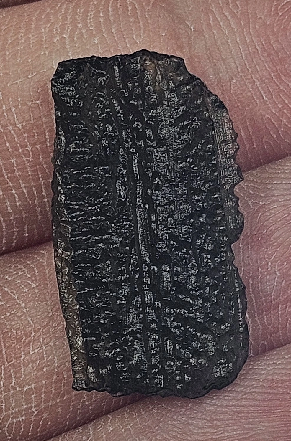Vltavín 2,5 cm - 2,7 g